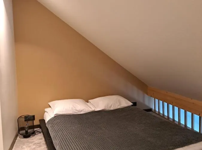 Oesel 쿠레사아레