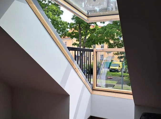 Oesel * 쿠레사아레